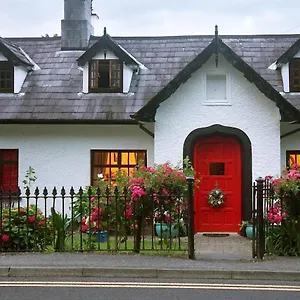https://ivy-cottage-bb.hotel-killarney.com